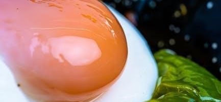 green eggs and ham filetype:pdf